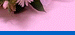 C[W